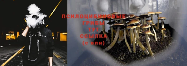 герыч Ельня