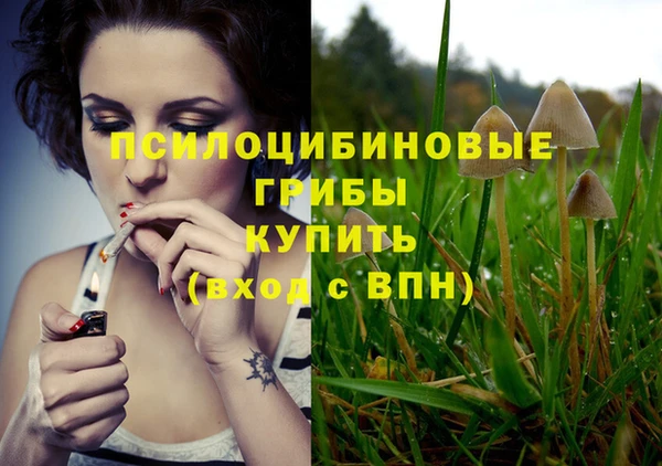 герыч Ельня