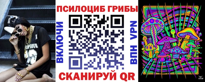 Псилоцибиновые грибы мухоморы  Камень-на-Оби 